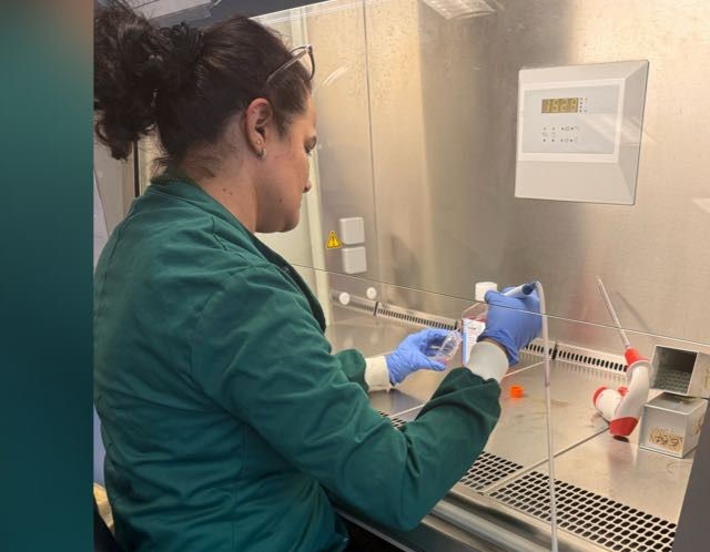 Science Simplification & Content Creation